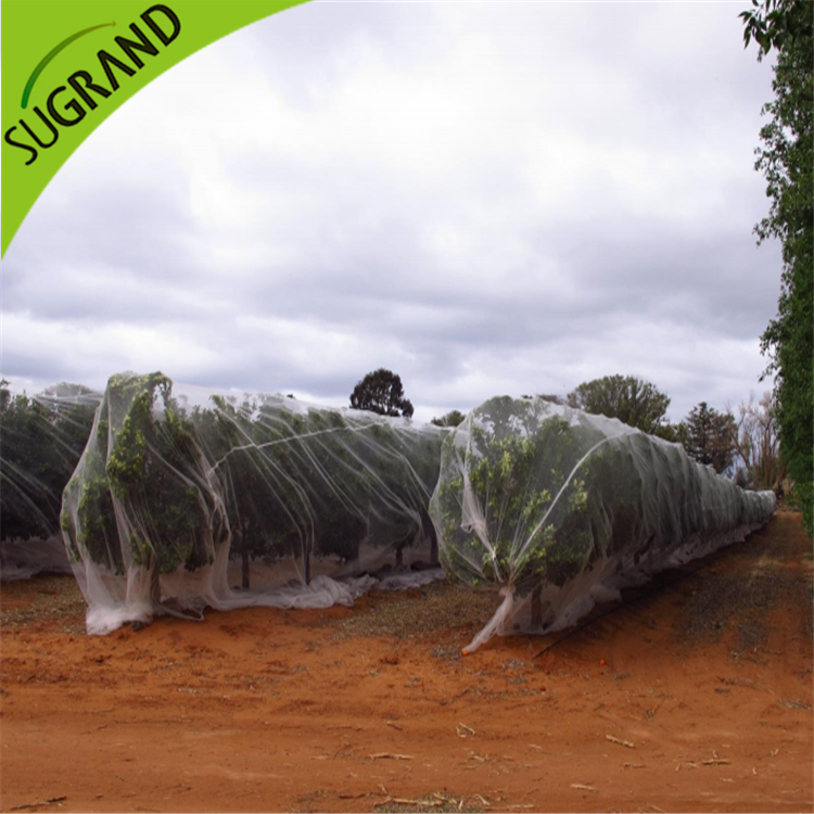 רשת נגד דבורים שקופה באינטרנט