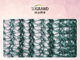 רשת לקטיף זיתים ירוקים משולש בוסתן