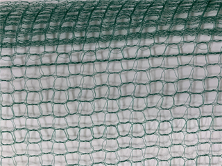 קטיף זיתים ירוקים פירות ריבוע 32GSM נטו