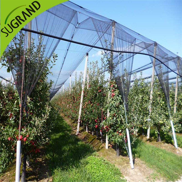 חדש HDPE Black Anti Bee Net Online
