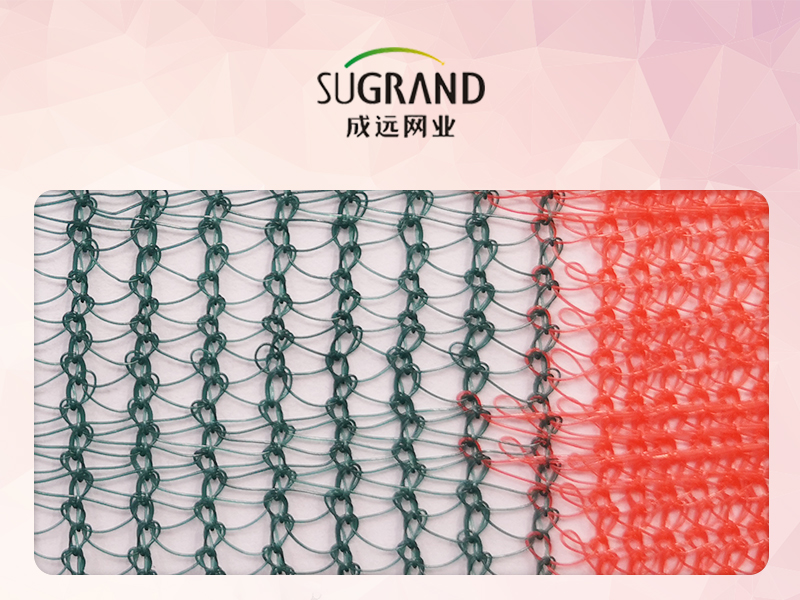 רשת לקטיף זיתים ירוקים משולש בוסתן