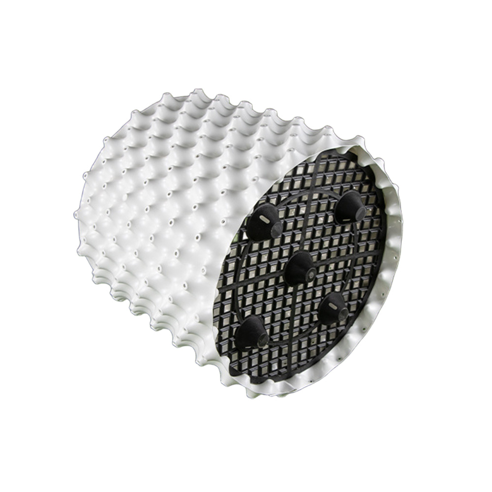 מיכל שליטת שורש צמח