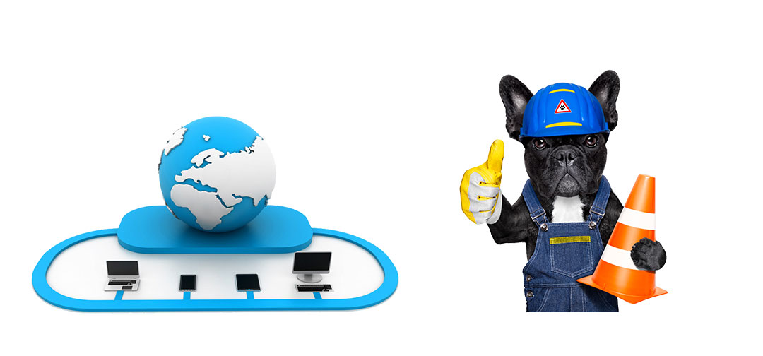 רשת פיגומים9