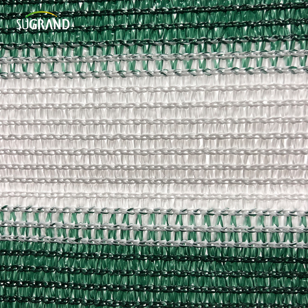 גדר פרטיות כבדה גדר גדר רשת חצר גן נטו חצר אחורית