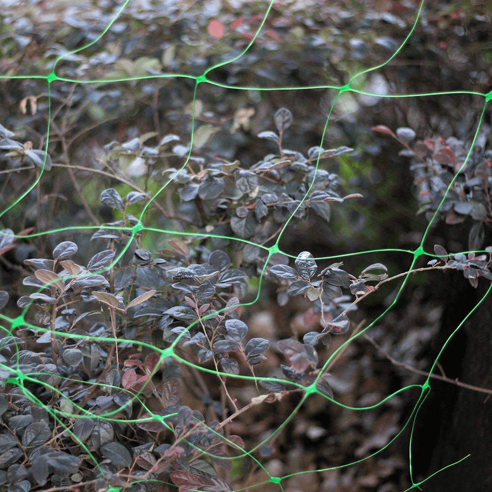 רשת מלפפונים