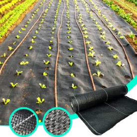 היתרונות של SUGRAND כיסוי קרקע