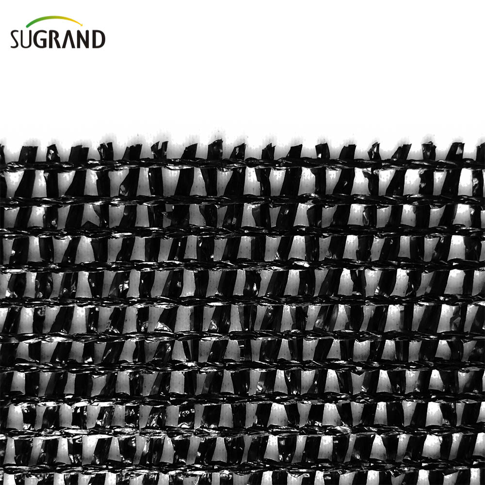 איכות חקלאות שחורה צ'ילה צללת צליל נטו