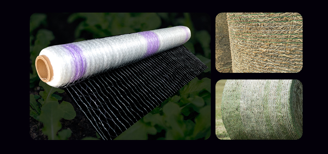 רשת חבילות8