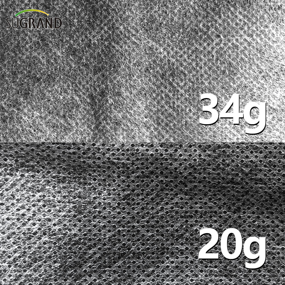 100 גרם 2x50m חקלאות עמ 'בד לבן שאינו ארוג 