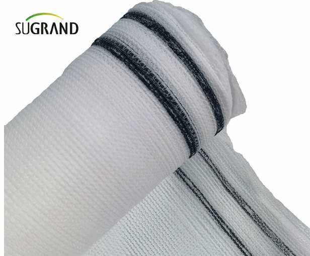 רשת בטיחות לפיגומים