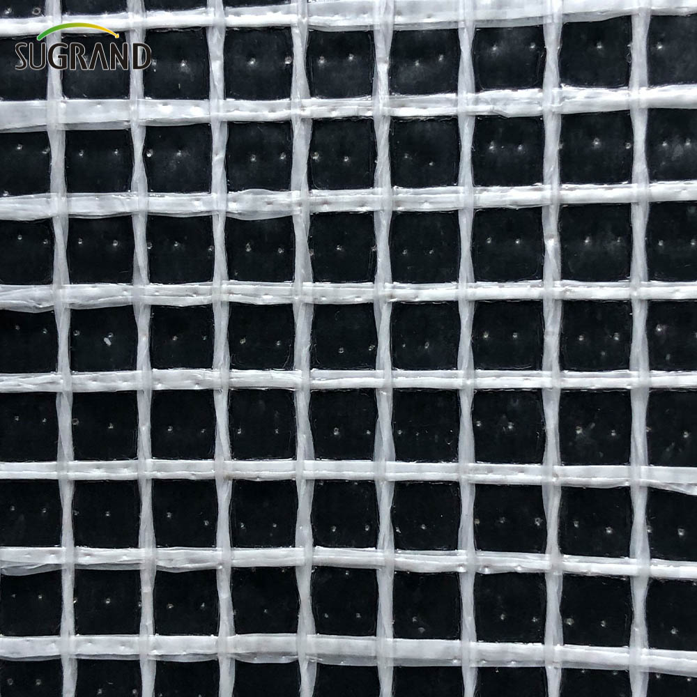 PVC לבן PVC גיליון רשת רשת פיגום רשת PE ברזנט