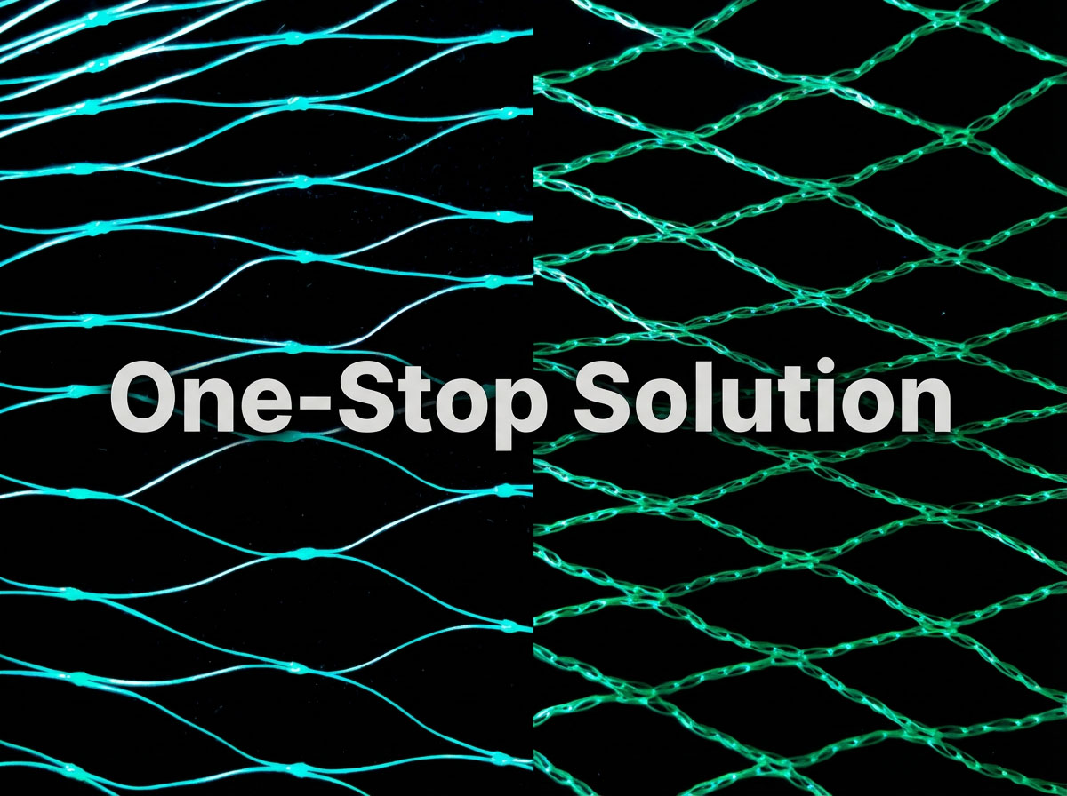 רשת ציפורים