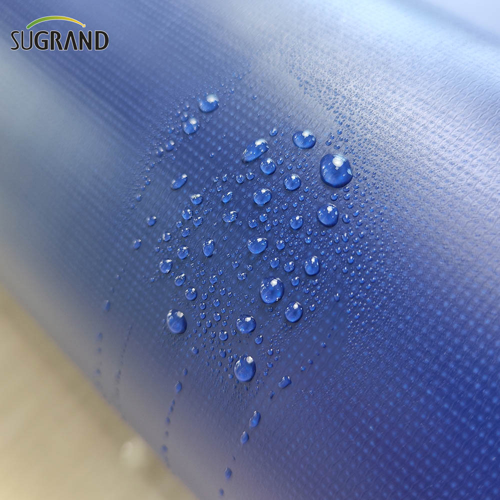 כחול 12x24 ברזנט ברזנט שקוף 