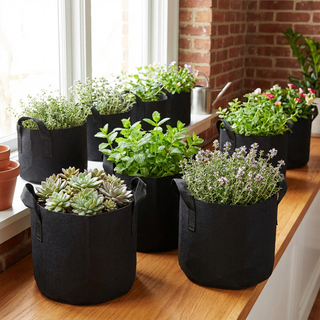 סיטונאי בד לא ארוג בגלון גידול שקיות