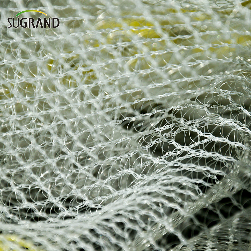 יצרן רשת אנטי ברד