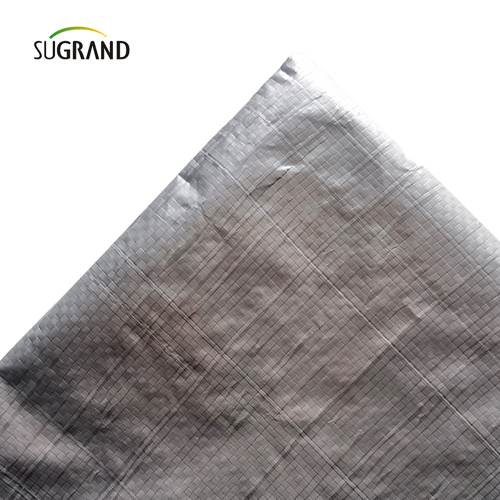 מפעל ישיר סיטונאי לבן פלסטי