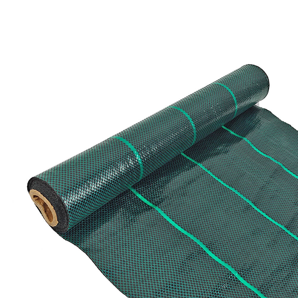 ירוק כהה כיסוי קרקע נוף בד מפעל
