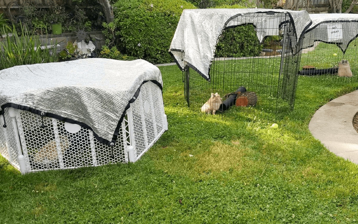 איך למדוד לצל מפרש