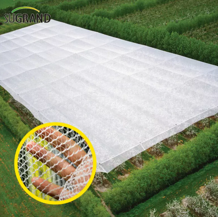 רשת אנטי ברד