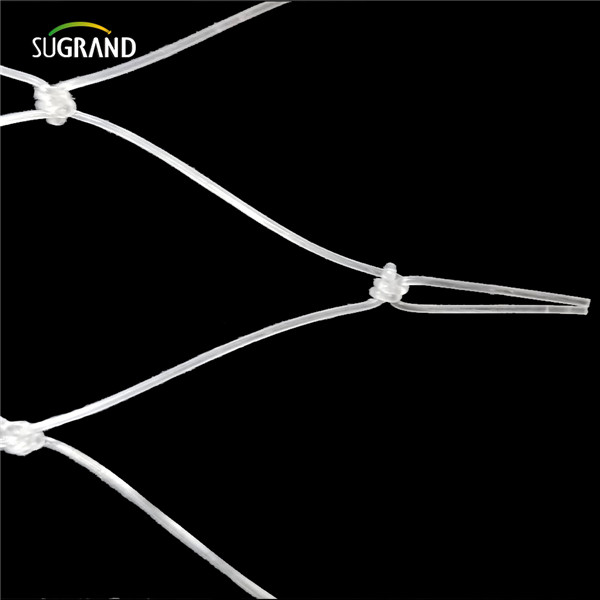 רשת דגים ניילון (6)