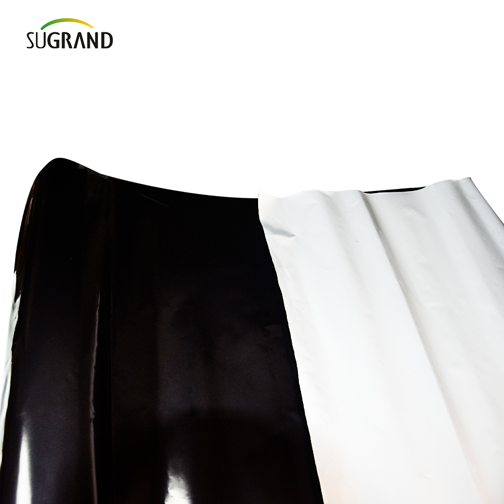 Garden Garden Mat Mat Agricultuer Flastic Mulch