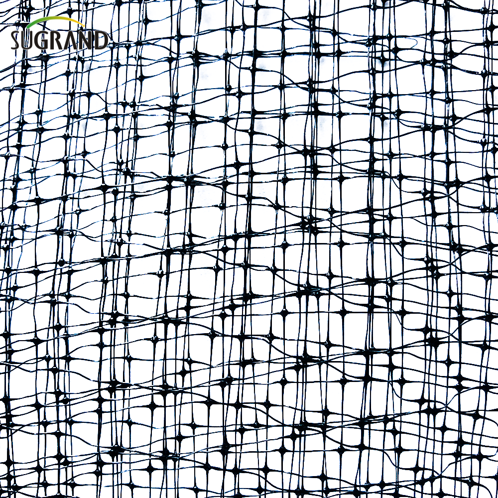 40 גרם שחור 15x15 או 16x16 רשת עץ פירות כבד