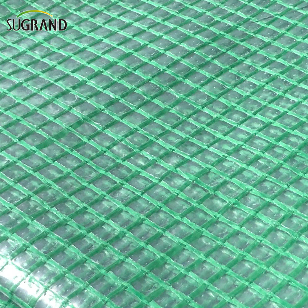 רשת ברזנט בטיחות רשת רשת רשת PE PE TARPAULIN