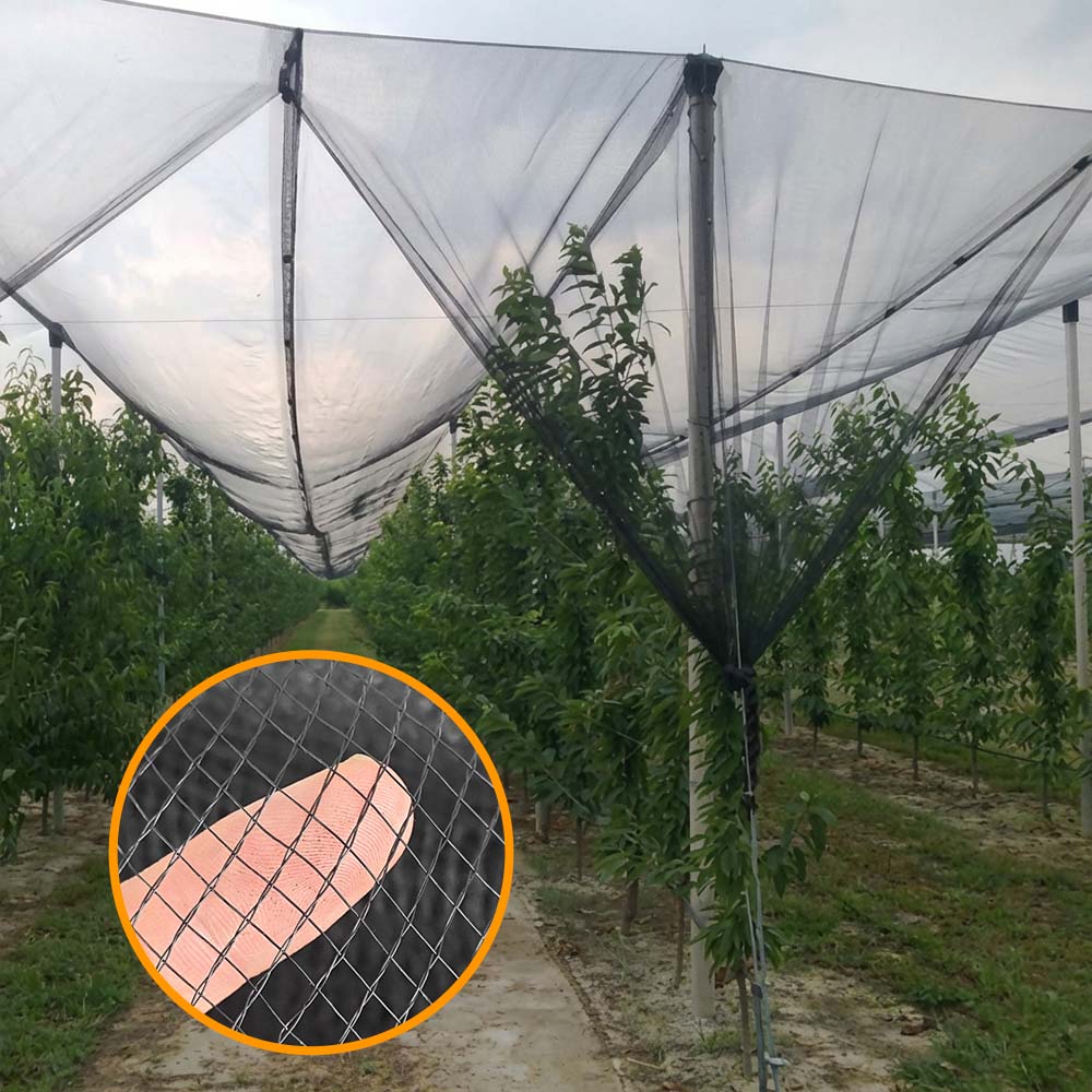 SUGRAND רשת נגד ברד למטעי חוות