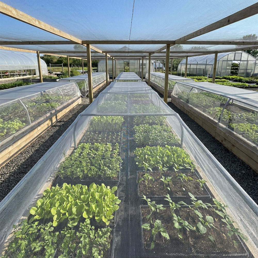 כיצד לבחור את רשת החרקים המתאימה לירקות?