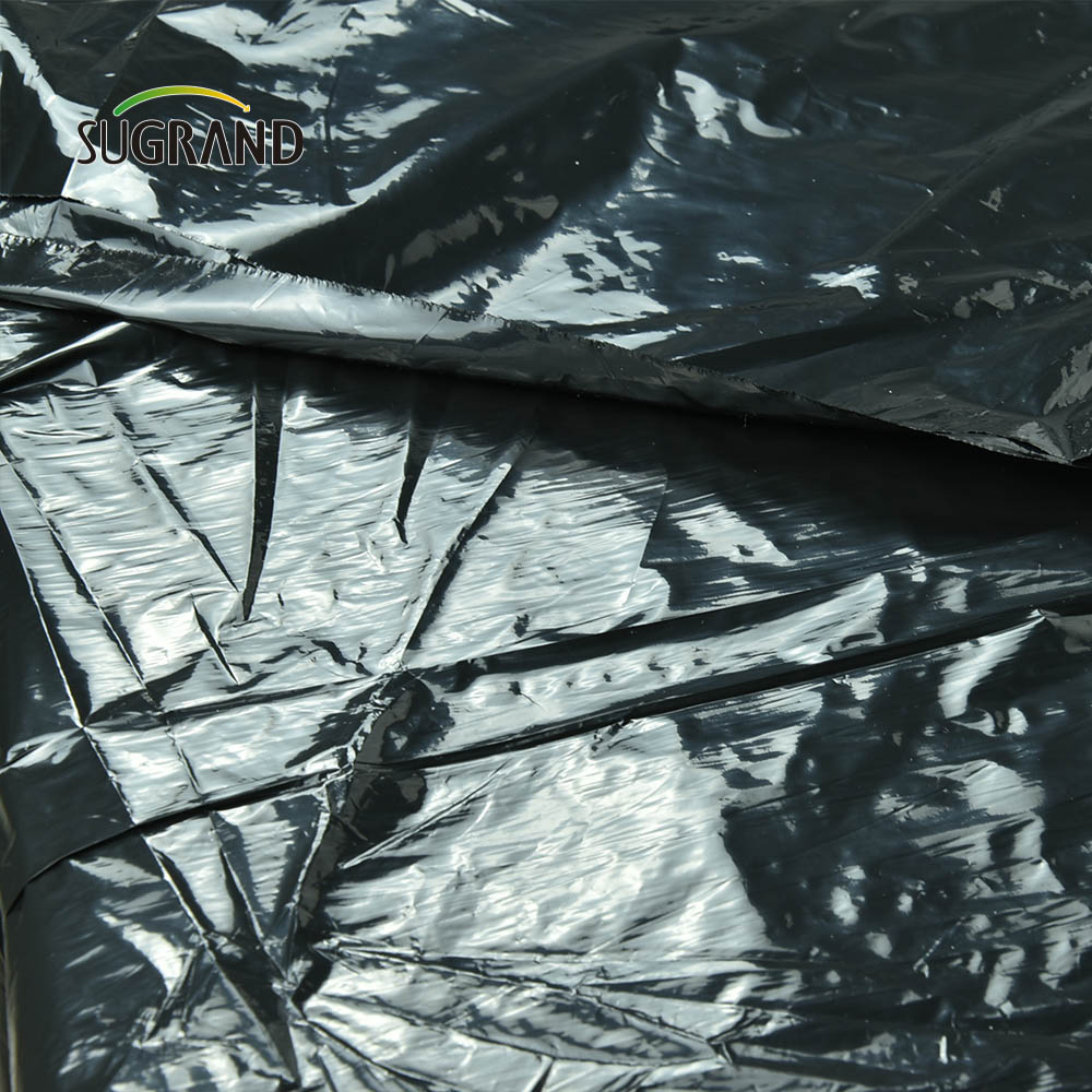 מחיר מפעל זול שחור פלסטיק מאלץ