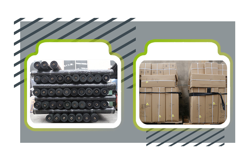 כיסוי קרקע-רגל