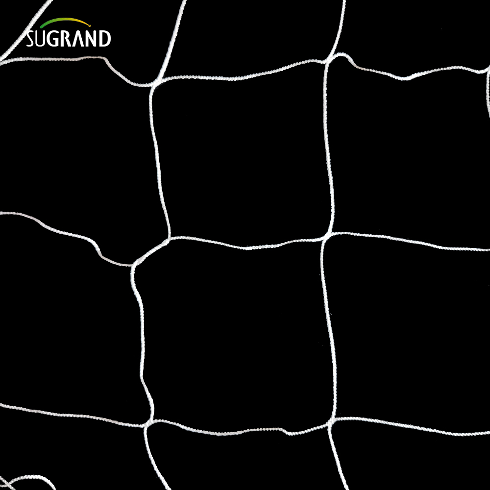 צמח ניילון לבן סיטונאי תומך בטרליס רשת 5x15 רגל גינה 6 'רשת לטיפוס