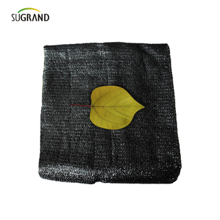 טייפ בז 'שש מחטים רשת צל אגרו