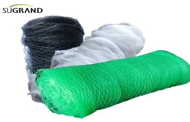 כיצד רשתות אנטי ציפורים תומכות בחקלאות בת -קיימא