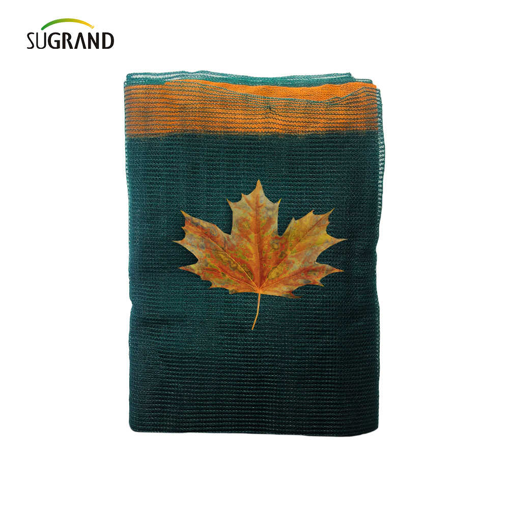 כיצד רשת זית יכולה לשפר את מסיק הזיתים שלך: טיפים ממומחים בתעשייה