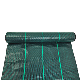 ירוק כהה כיסוי קרקע נוף בד מפעל