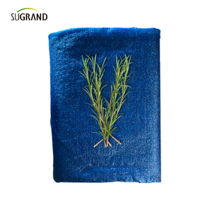 שש מחטים מונו+קלטת