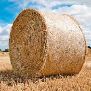 רשת אריחים משטחים סיטונאי לעטוף נטו