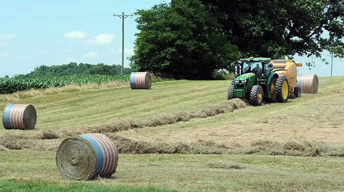 רשת חבילות משטחים