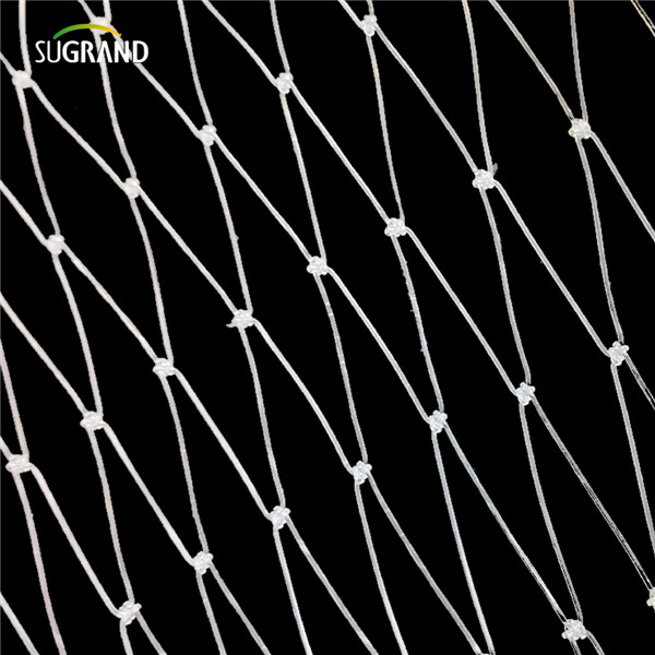 רשת דגי ניילון (5) 