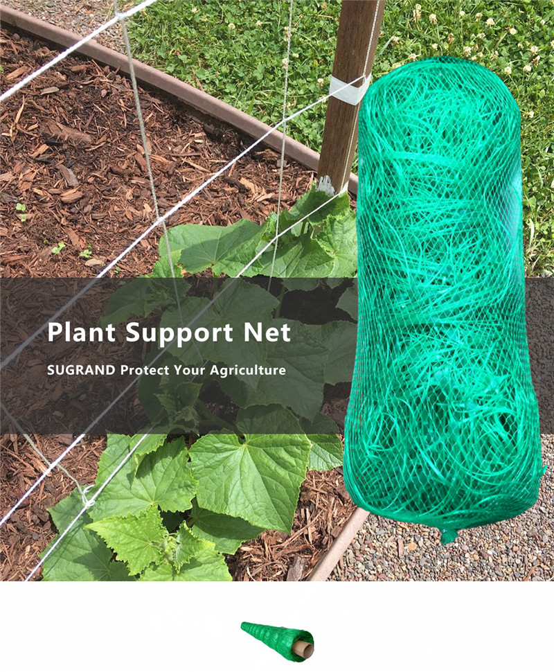 plant support net 1_副本 רשת תמיכה במפעל 1_副本