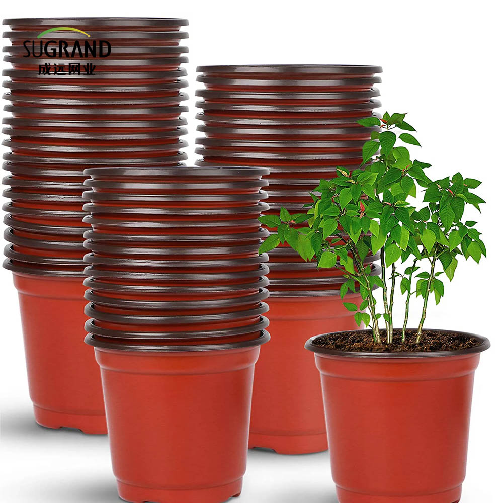 סירי משתלת צמחי פלסטיק זרע סירי התחלה לסיטונאות צמחית