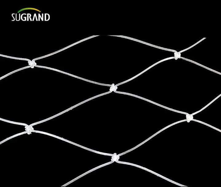 רשת דגים ניילון 2