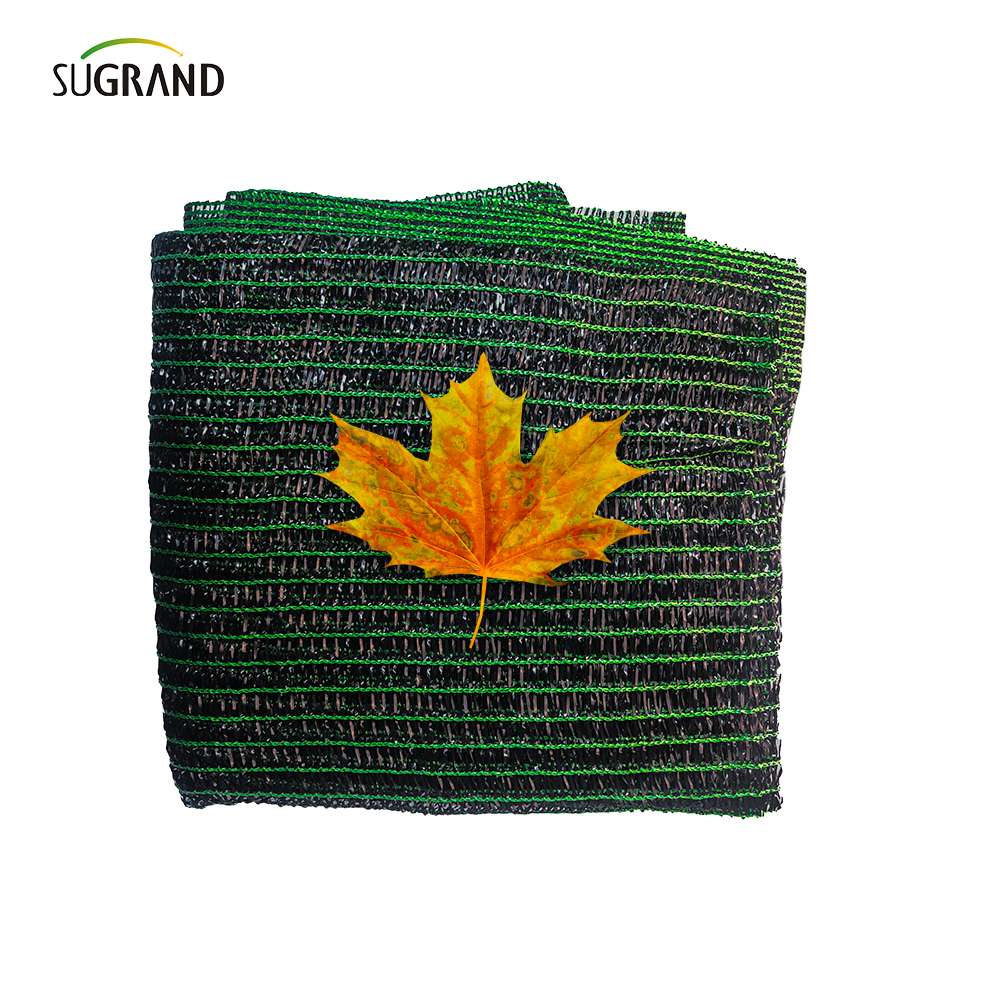 טייפ בז 'שש מחטים רשת צל אגרו