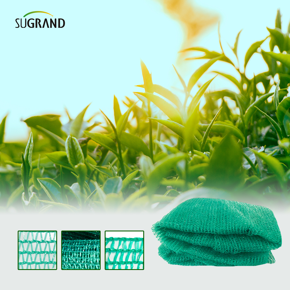 ירוק כהה רשת קלטת קלטת שש מחטים