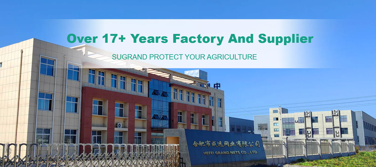 איזה כיסוי קרקע צבעוני עובד הכי טוב בגנים?