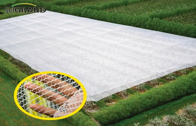 כיצד כרמים משתמשים ברשתות אנטי-כלאיות כדי לחסוך יבול