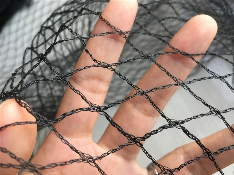 רשתות ערפל ציפורים לתפיסת ציפורים