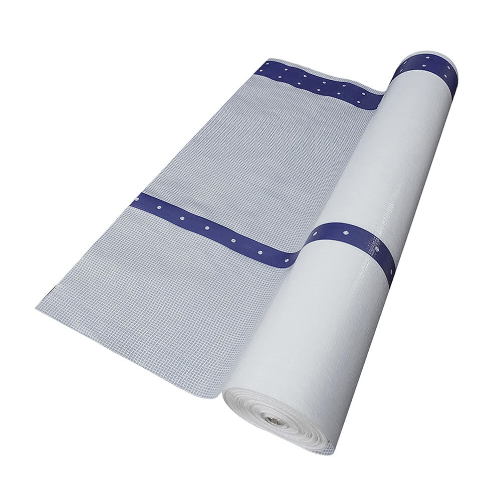 גיליון פיגומים