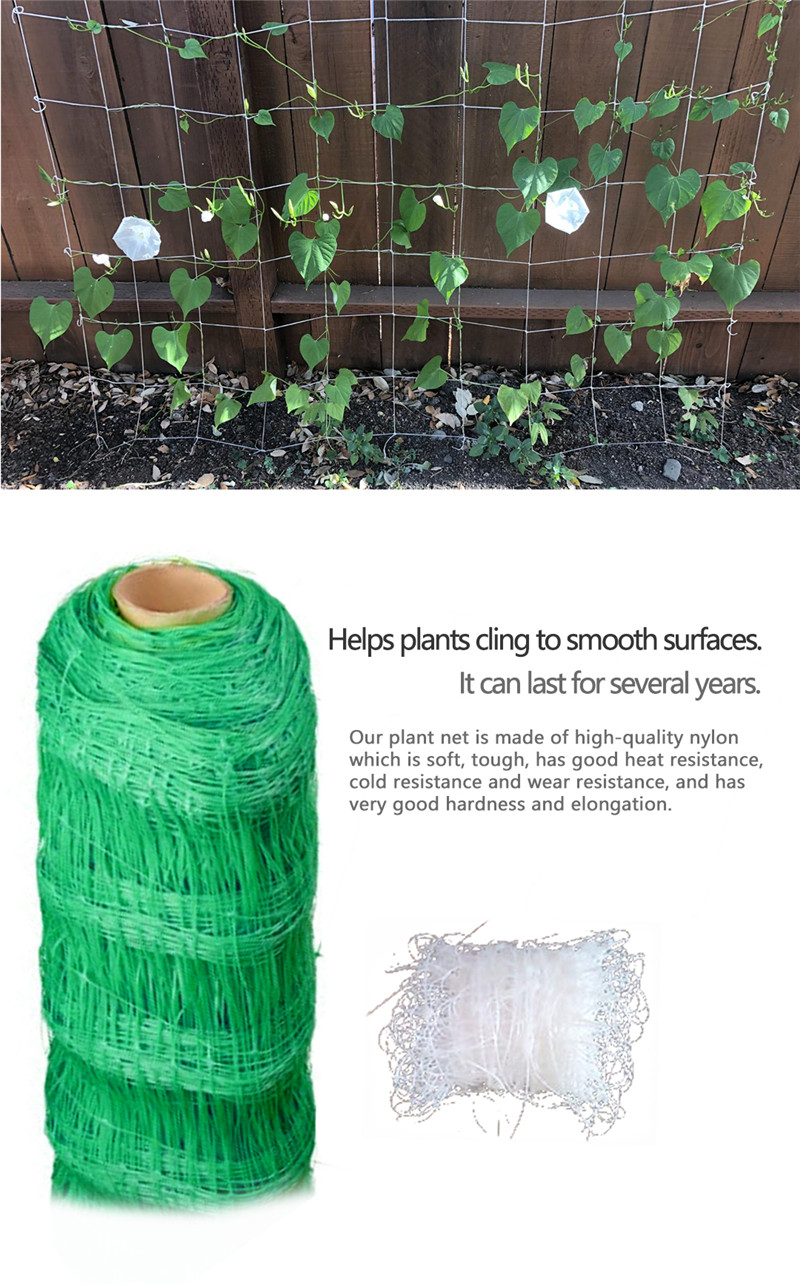 רשת תמיכה לצמח 6